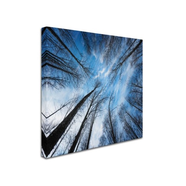 Philippe Sainte-Laudy 'Blue Crunch' Canvas Art,35x35